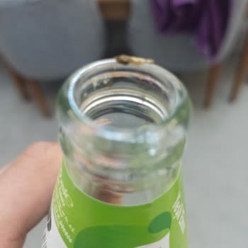 Sodada Şişenin Üstünde Ölmüş Kurt Bulundu