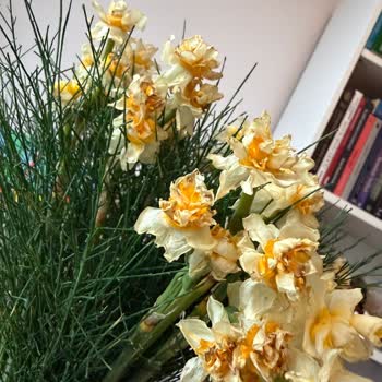 Hızlı Çiçek Görseldeki Üründen Belirgin Şekilde Daha Küçük Geldi Ve Aynı Gün İçinde Solmaya Başladı