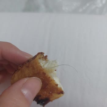 Hacıbaba Pastanesi Havaalanı Şubesinde Kurabiyede Saç Bulunması Hijyen İhlali