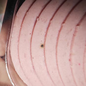 Tarihinde Geçmemiş Pınar Hindi Salamı Küflü Çıktı, Güvenim Sarsıldı