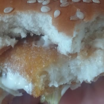 Hamburgerde Kıl Bulunması Hijyen İhlali Ve Çözüm Talebi