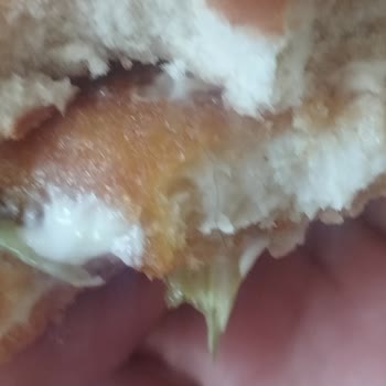 Hamburgerde Kıl Bulunması Hijyen İhlali Ve Çözüm Talebi