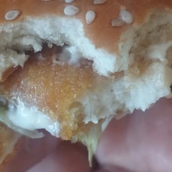 Hamburgerde Kıl Bulunması Hijyen İhlali Ve Çözüm Talebi