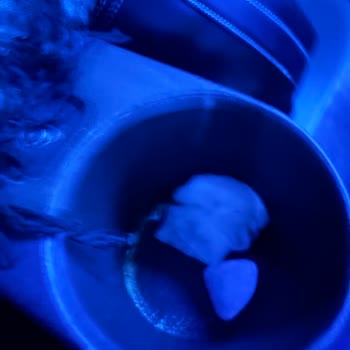 Site Sinemaları 1 Numaralı Salonda Hijyen İhmali Ve Temizlik Sorunu