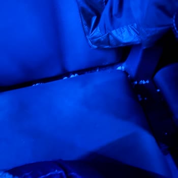 Site Sinemaları 1 Numaralı Salonda Hijyen İhmali Ve Temizlik Sorunu