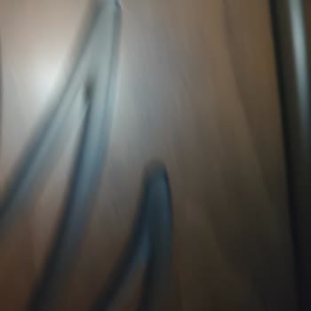 Yonca Nakliyat’ın Daire Kapısına Verdiği Çizikler Ve Kaba Tutumu