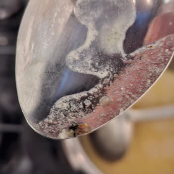 Carrefour’da Satın Alınan İşkembe Ürününde Böcek Bulundu: Hijyen İhlali