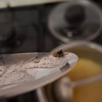 Carrefour’da Satın Alınan İşkembe Ürününde Böcek Bulundu: Hijyen İhlali