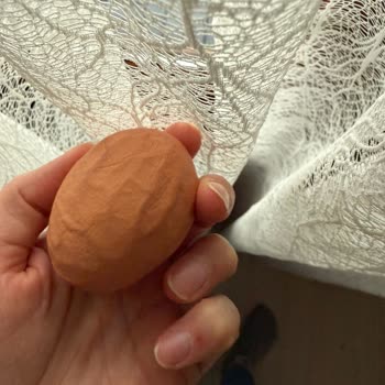 File Market'ten Aldığım Organik Yumurta Kabuklarındaki Bozulma İçin İade İstiyorum