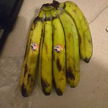 Çürük Muzlar Ve Zile Basılmadan Teslimat Şikayeti