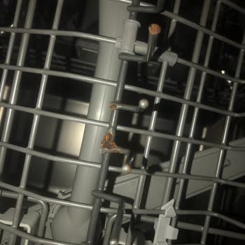 Arçelik Bulaşık Makinesinde Paslanma Ve Üst Sepet Rayı Sorunu