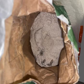 Carrefour Ununda Ağaç Dalı Bulunması Gıda Güvenliği Endişesi