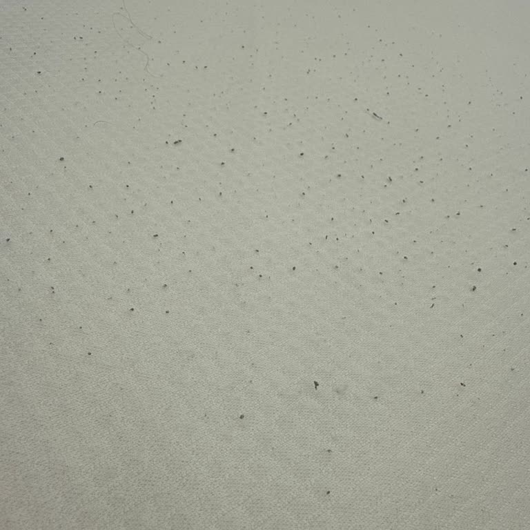 İlk Yıkamada Tüylenen Flore Çift Kişilik Alezde Kalite Sorunu Ve İade Talebi