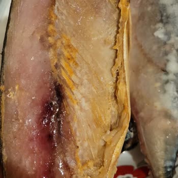 BİM'den Alınan Dondurulmuş Uskumru Balığının Bozulmuş Olması Ve Güven Kaybı!