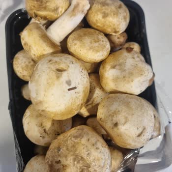 Migros'tan Bozuk Ve Çürük Sebze-Mantar Ürünleri