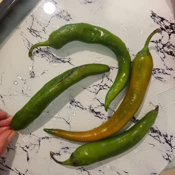 Migros'tan Bozuk Ve Çürük Sebze-Mantar Ürünleri