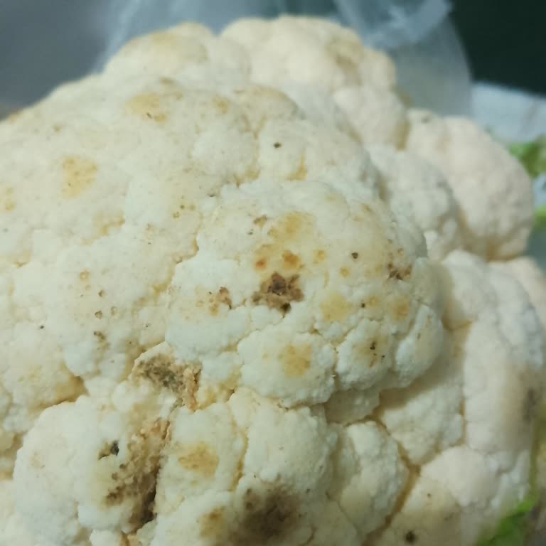 Kıymanın Yağ Dolu Ve Karnabaharda Küflü Ürün Şikayeti