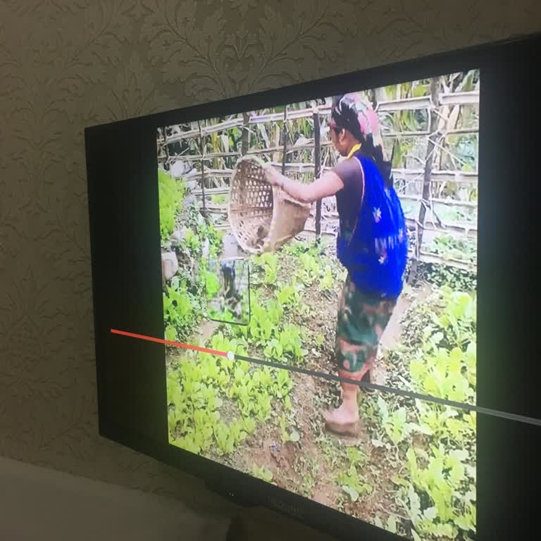 TV Box Sürekli Donuyor, Ücretsiz Servis Reddedildi