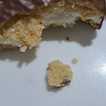 Ülker Halley Bisküvi İçinde Kıl Tespiti Ve Hijyen Şikayeti