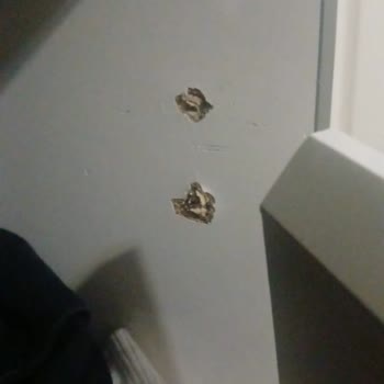 Darıca Nh Home Gardırobunun Kapakları Çabucak Düşerek Ürün Ayıplı