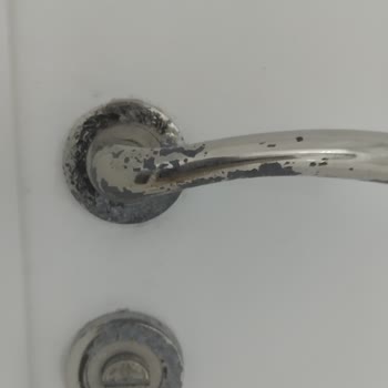 Kapı Kolları Soyulması Ve Menteşeler Paslanması İçin Garanti Kapsamında Onarım Talebi