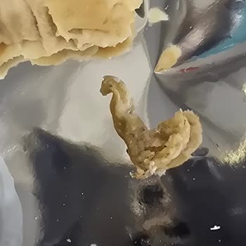 Getir Market Dondurmasında Bilinmeyen Madde Ve Sağlık Riski