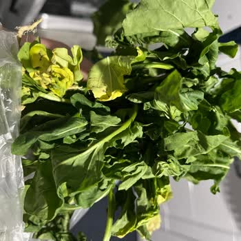 Migros Hemen'den Çürük Sebzeler İçin Ücret İadesi Talebi