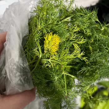 Migros Hemen'den Çürük Sebzeler İçin Ücret İadesi Talebi