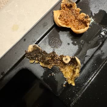 Küflü Kuru İncir Ve Aflatoksin Riski: 22 Aylık Bebeğim İçin Tehlikeli Ürün