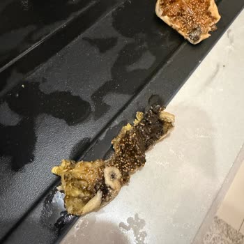 Küflü Kuru İncir Ve Aflatoksin Riski: 22 Aylık Bebeğim İçin Tehlikeli Ürün