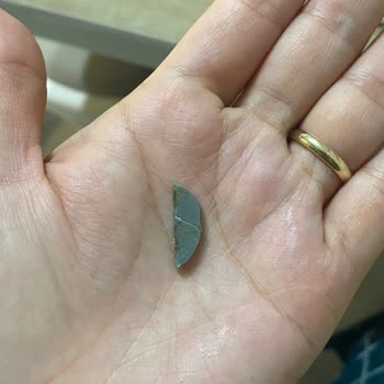 Harras Patates Cipsi İçinde Plastik Parça Bulundu