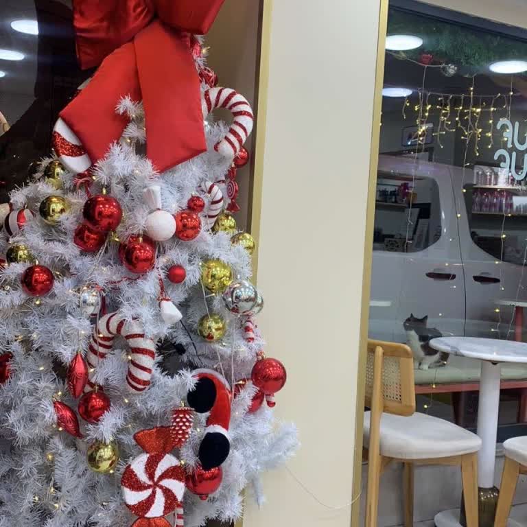 Pufpuf Tatlı Bakırköy’de Lotuslu Pankek Stok Sorunu Ve Tutarsız İletişim