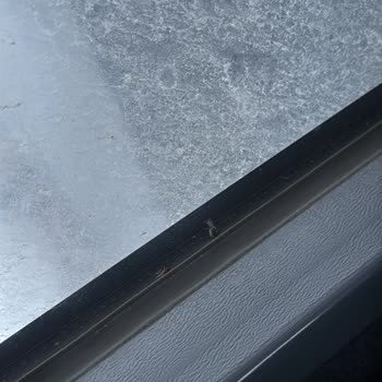 Kamil Koç Otobüsünde Hijyen Eksikliği Ve Kaba Muavin Davranışı!