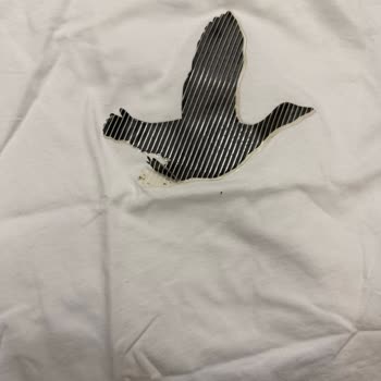 Logolu Tişörtte Kalite Sorunu: İlk Yıkamada Logo Yırtıldı, Mağaza Müşteri Hatası İddiası