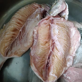 Migros'ta Bozulmuş Alabalık Ve Gecikmiş İade