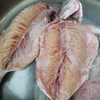 Migros'ta Bozulmuş Alabalık Ve Gecikmiş İade