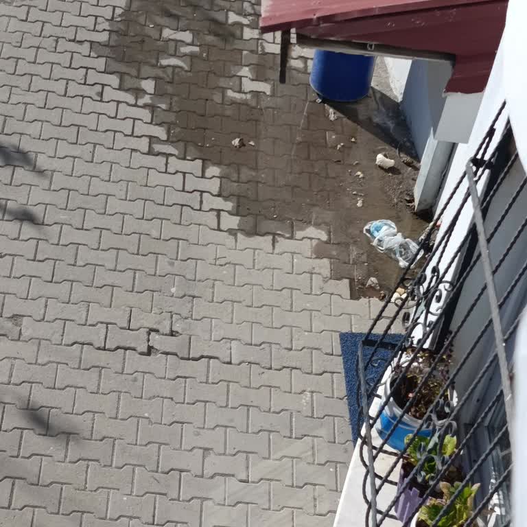 Kalıcı Kanalizasyon Sızıntısı Ve Sağlık Riski Acil Müdahale Talebi