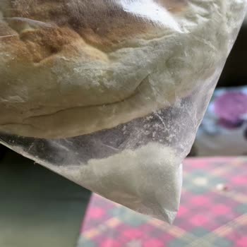 Beko No Frost Buzdolabında Sürekli Karlanma Ve Koku, Servis Sadece Ozonlama Teklifi, Değişim Talebi