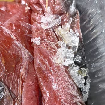 Beko No Frost Buzdolabında Sürekli Karlanma Ve Koku, Servis Sadece Ozonlama Teklifi, Değişim Talebi