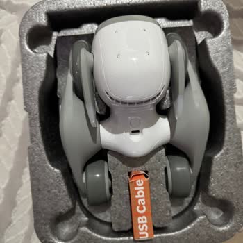 Satıcı Açılmış Kutu Ve Kullanılmış Robot Köpek Gönderdi İade İşlemi Gecikiyor