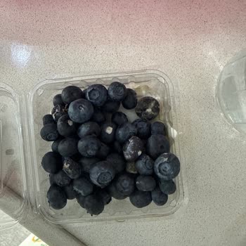 Siparişte Gelen Yaban Mersini Bozulmuş Ve Ezilmiş