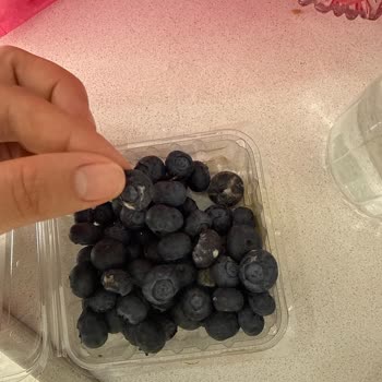 Siparişte Gelen Yaban Mersini Bozulmuş Ve Ezilmiş