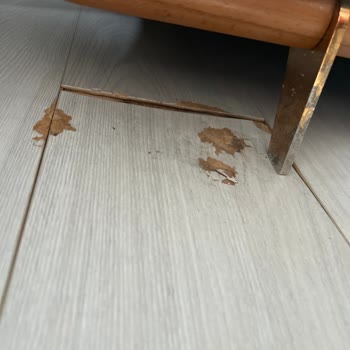 Deforme Koltuk Ayakları Zemine Zarar Veriyor Ve Acil Değişim Talebi