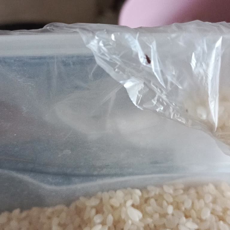 Şok Market’te Pirinçte İkinci Kez Böceklenme Şikayeti