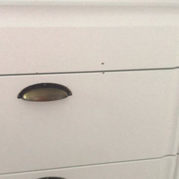 Orman Ürünleri'nden Garanti Reddi Ve Darbeli Kapaklar Ücretsiz Değişim Talebi