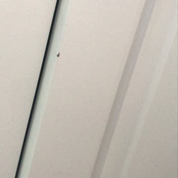 Orman Ürünleri'nden Garanti Reddi Ve Darbeli Kapaklar Ücretsiz Değişim Talebi