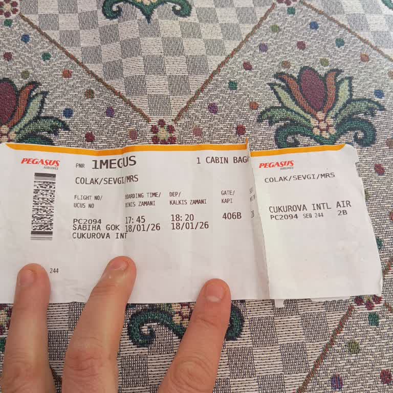 Pegasus Uçak Arızası Ve Engelli Yolcunun Altı Saatlik Zor Bekleyişi