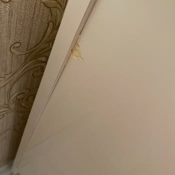 Hasarlı Mobilyalar İçin 8 Aylık Çözüm Bekleyişi