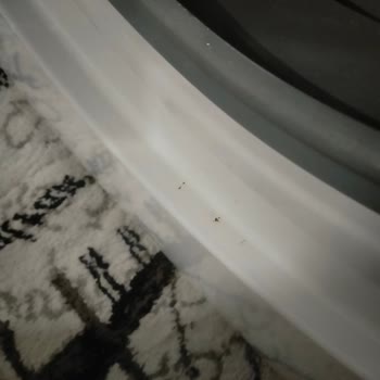 Vestel Çamaşır Makinesi Kapak Sorunu Ve Garanti Kapsamı