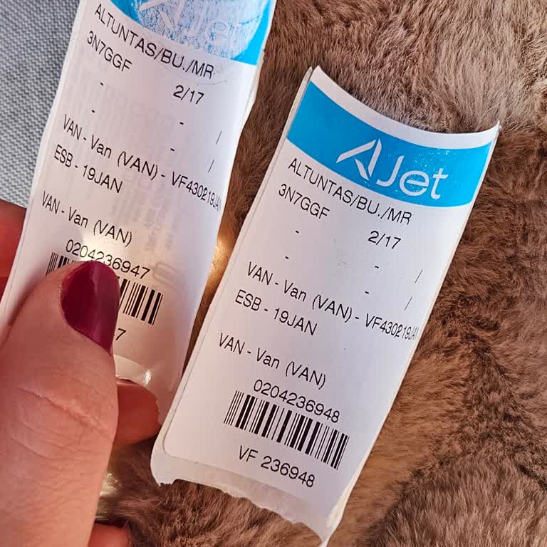 Bagajımız Bilgi Alınmadan Başka Uçağa Yönlendirildi Ve Teslim Edilmedi